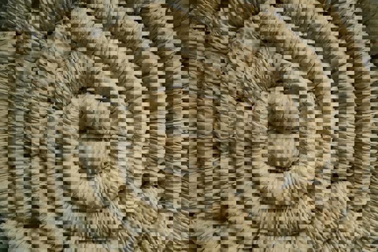 Bakery Swaps Wheat for Amaranth Flour in Bold Gluten-Free Move